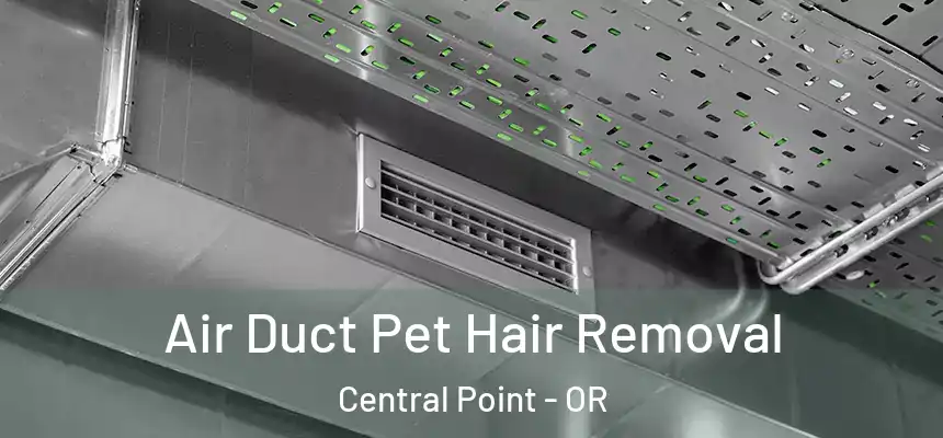  Air Duct Pet Hair Removal Central Point - OR