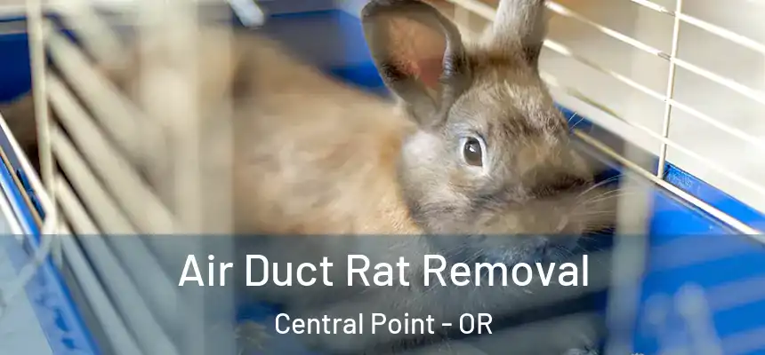  Air Duct Rat Removal Central Point - OR