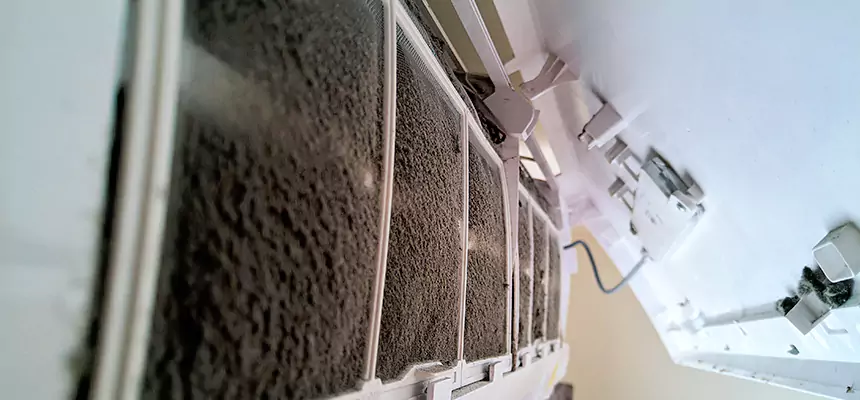 Preventive Air Duct Bacteria Removal in Central Point