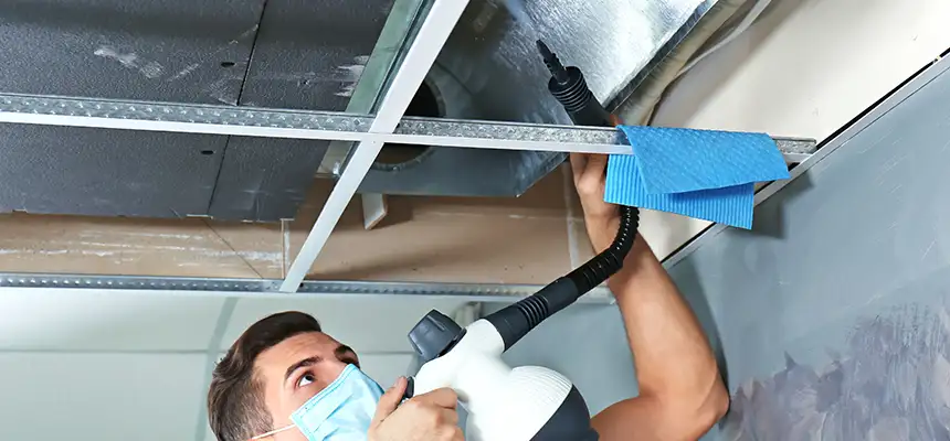 Our Air Duct Rodent Removal Services in Central Point, OR