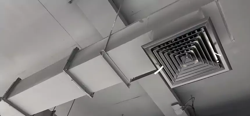 Our Rodent Droppings In Vents Services in Central Point, OR