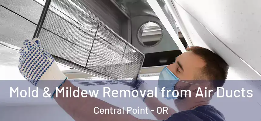  Mold & Mildew Removal from Air Ducts Central Point - OR