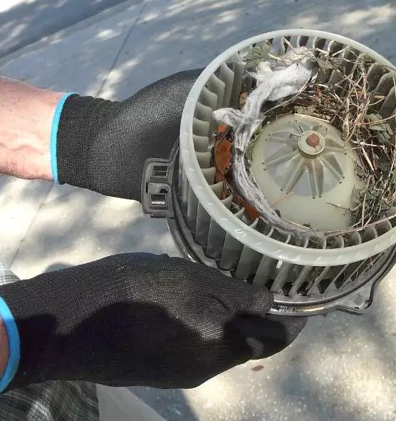 About Air Duct Mice Removal in Central Point, OR