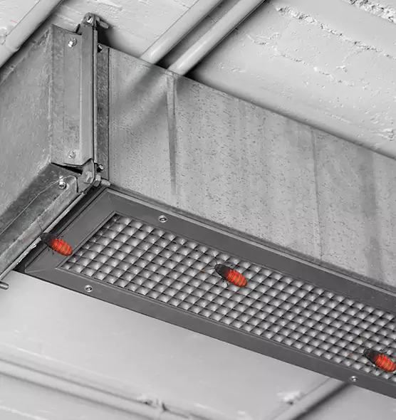 Affordable Insect Removal from Air Ducts in Central Point, OR