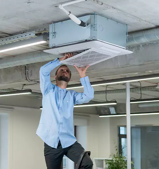Advanced Rodent Droppings In Vents in Central Point, OR