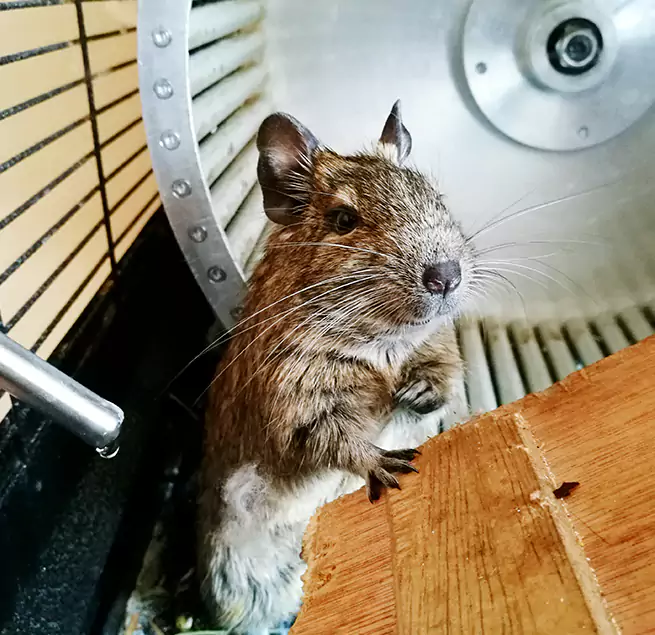 Why Homeowners & Businesses Trust Us Central Point, OR?