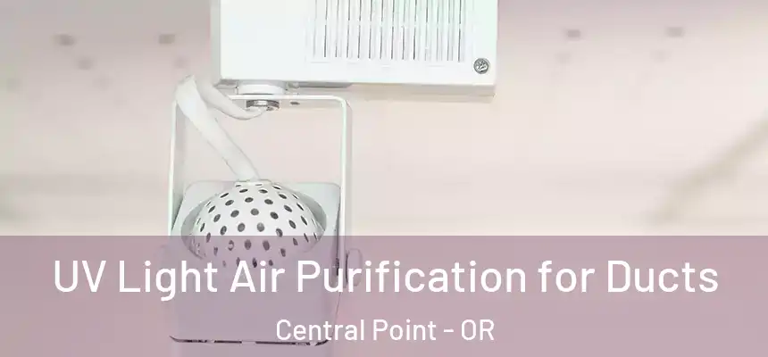  UV Light Air Purification for Ducts Central Point - OR